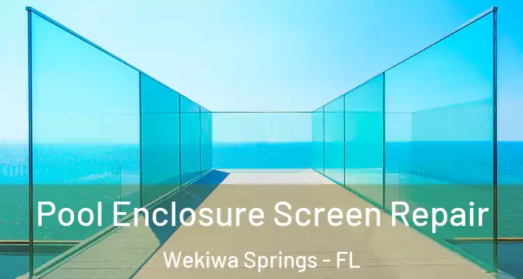 Pool Enclosure Screen Repair Wekiwa Springs - FL