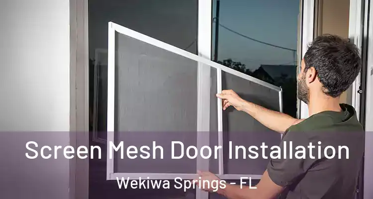 Screen Mesh Door Installation Wekiwa Springs - FL