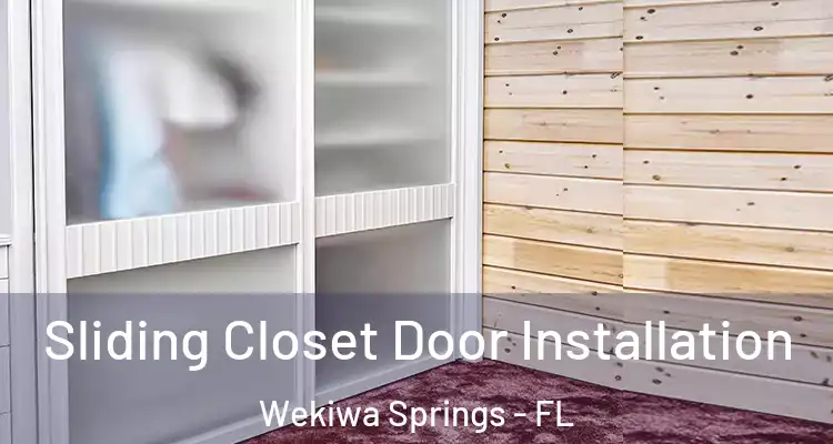Sliding Closet Door Installation Wekiwa Springs - FL