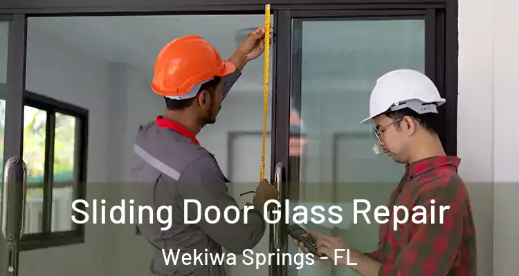 Sliding Door Glass Repair Wekiwa Springs - FL