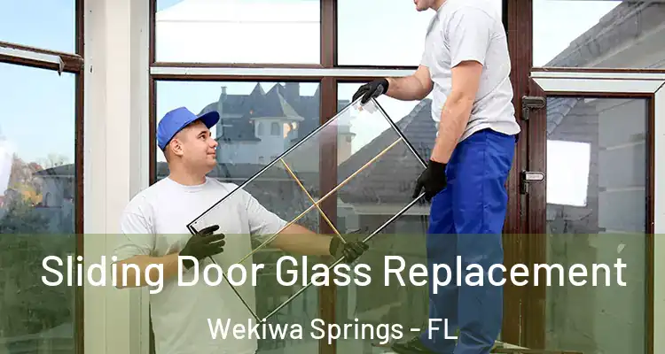 Sliding Door Glass Replacement Wekiwa Springs - FL