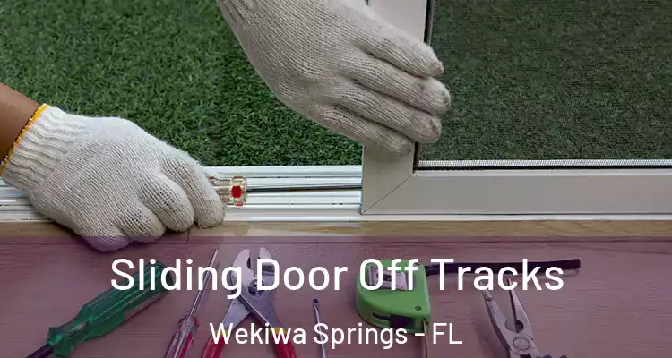 Sliding Door Off Tracks Wekiwa Springs - FL