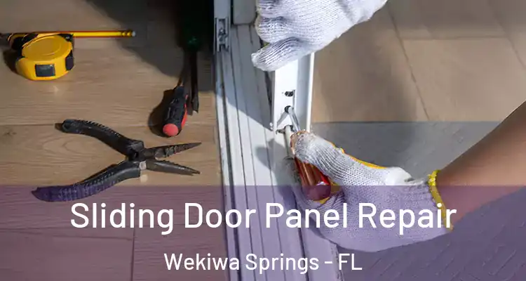 Sliding Door Panel Repair Wekiwa Springs - FL