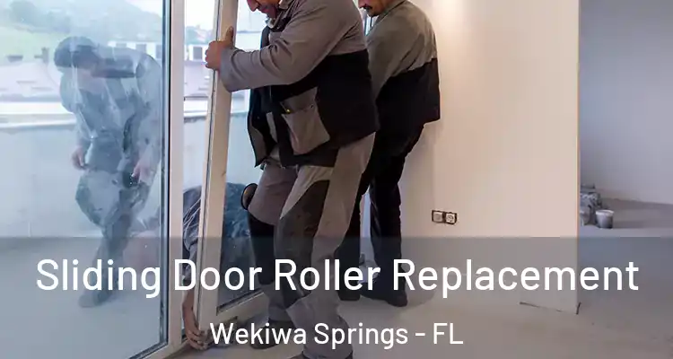 Sliding Door Roller Replacement Wekiwa Springs - FL