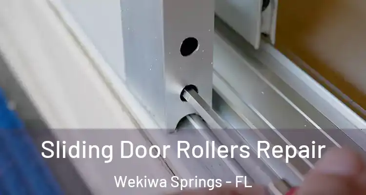 Sliding Door Rollers Repair Wekiwa Springs - FL