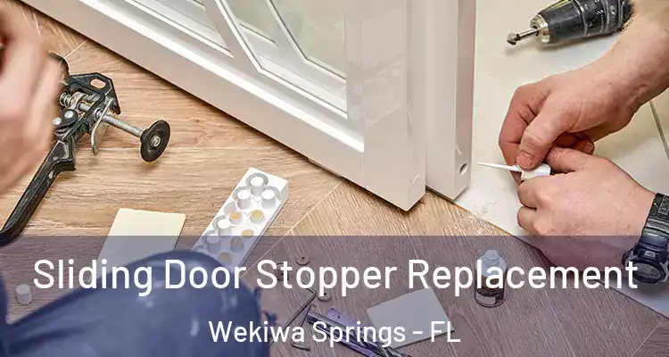 Sliding Door Stopper Replacement Wekiwa Springs - FL