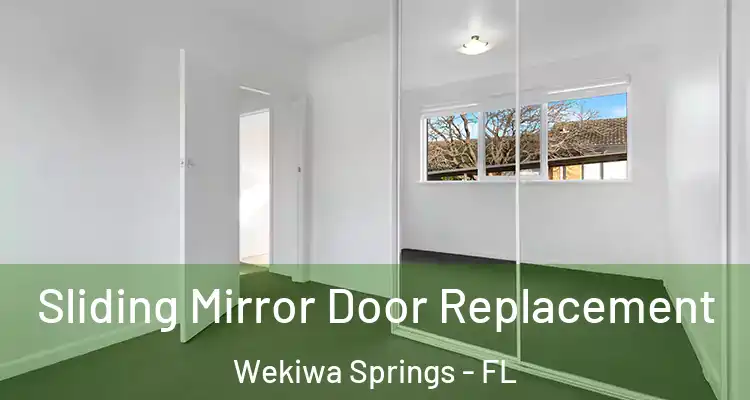 Sliding Mirror Door Replacement Wekiwa Springs - FL