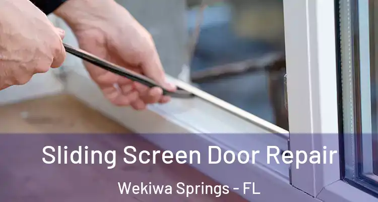 Sliding Screen Door Repair Wekiwa Springs - FL