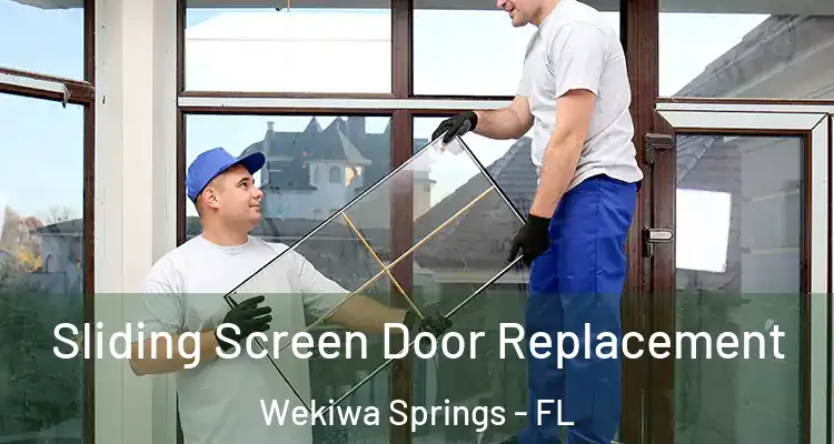 Sliding Screen Door Replacement Wekiwa Springs - FL