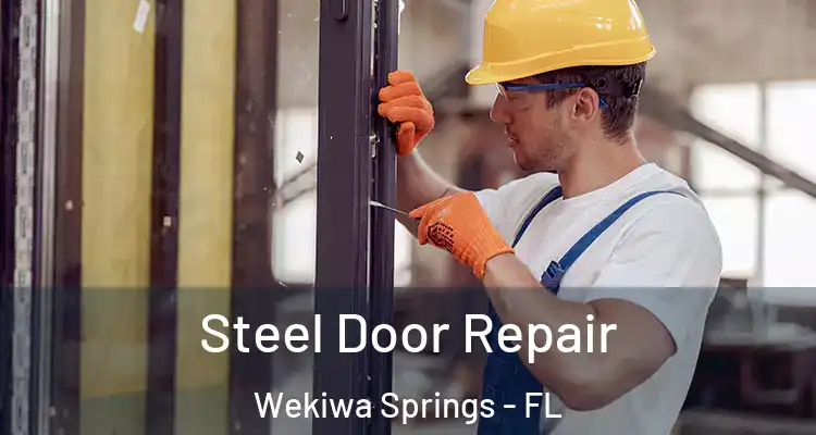 Steel Door Repair Wekiwa Springs - FL