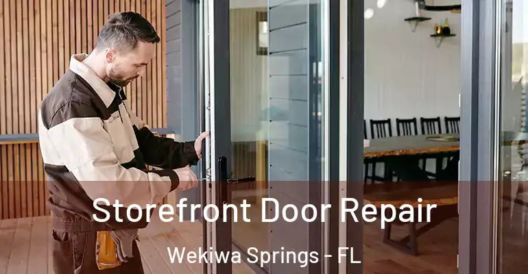 Storefront Door Repair Wekiwa Springs - FL