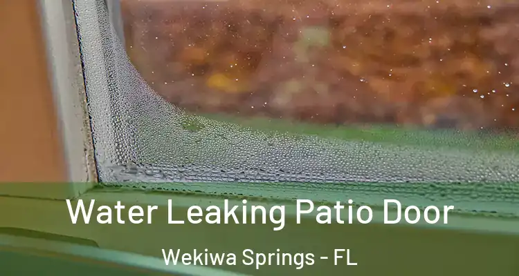 Water Leaking Patio Door Wekiwa Springs - FL