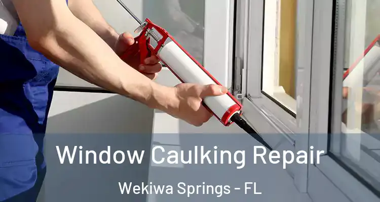 Window Caulking Repair Wekiwa Springs - FL