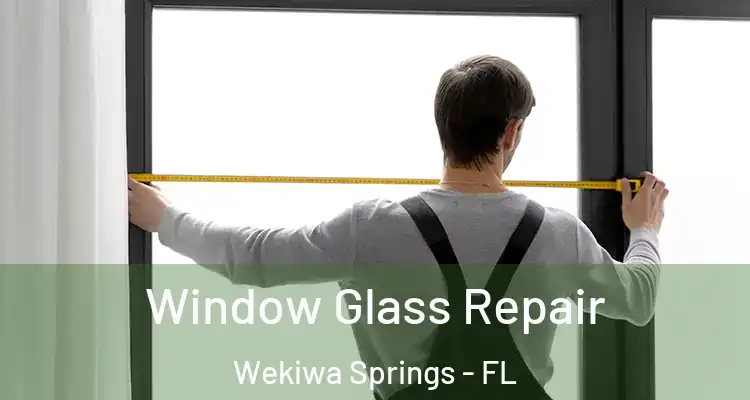 Window Glass Repair Wekiwa Springs - FL