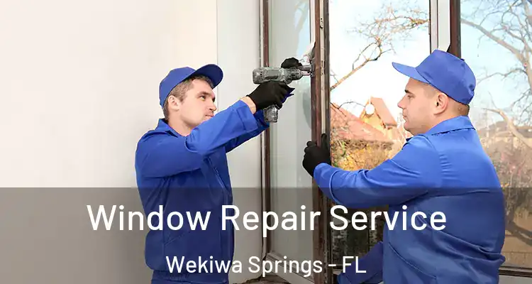 Window Repair Service Wekiwa Springs - FL