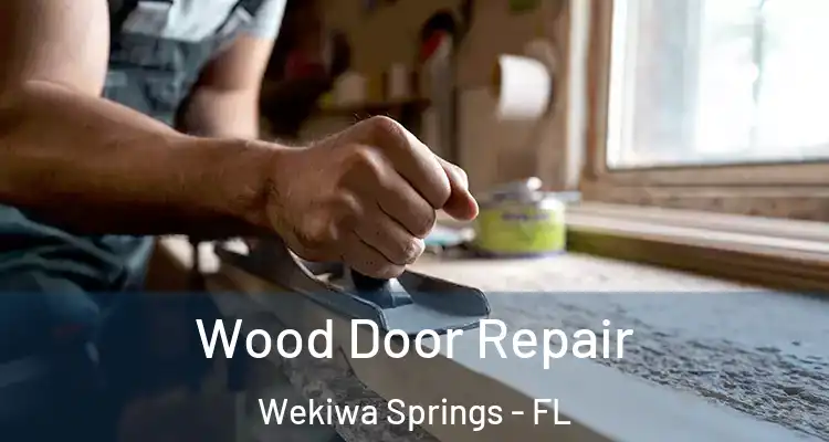 Wood Door Repair Wekiwa Springs - FL